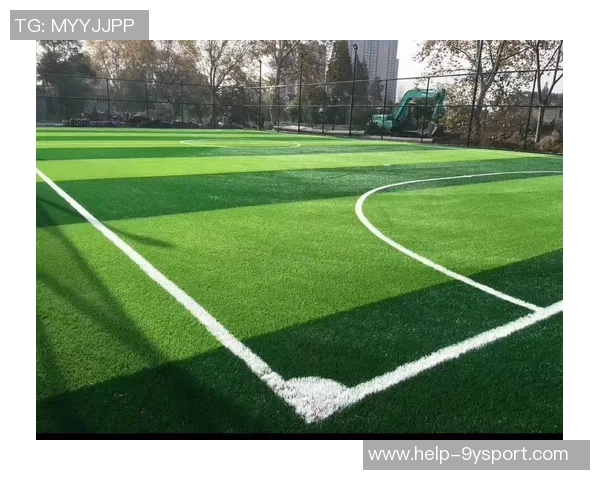 足球场尺寸大小对比赛影响的深度分析与探讨